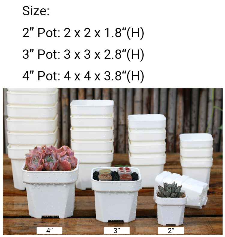 2" 3" 4" White Square Plastic Nursery Pots