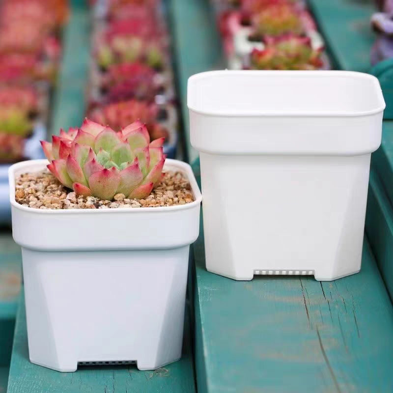 2" 3" 4" White Square Plastic Nursery Pots